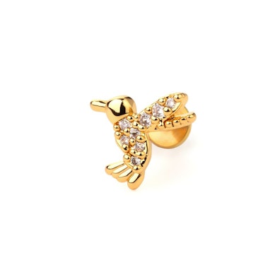 Labret com colibri e pedras