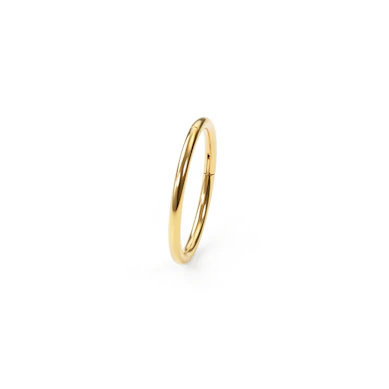 Argola articulada em titânio banhada a ouro 14k