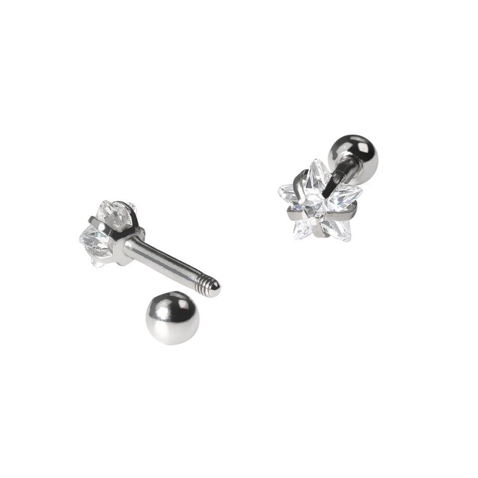 Conjunto de joias para a orelha com estrela de pedra