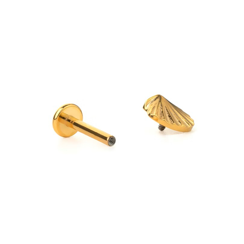 Labret de titânio em concha
