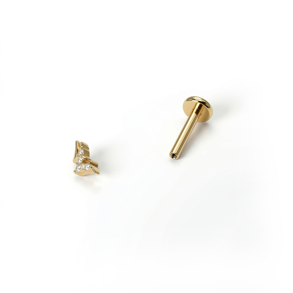 Labret em titânio com pássaros