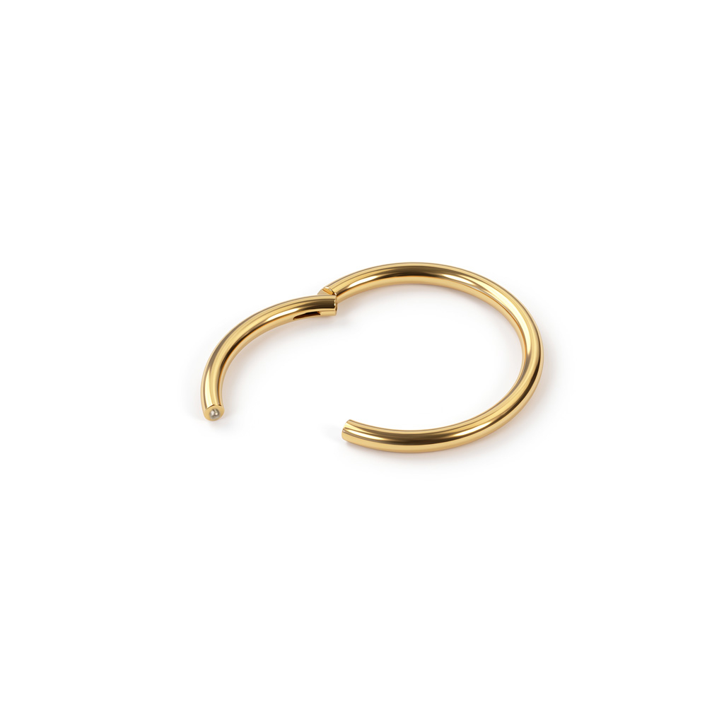Argola articulada em titânio banhada a ouro 14k
