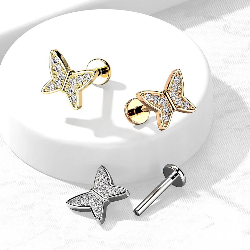 Labret com borboleta e pedras
